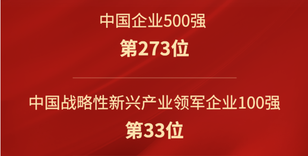 华体会登录手机版（中国）有限华体会登录手机版（中国）有限公司荣登“2022中国500强”，跻身民企百强